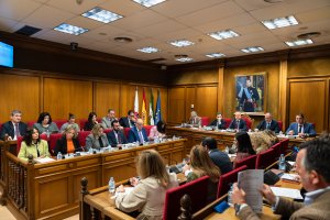 Imagen del pleno de la Diputación Provincial de Almería.