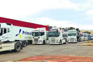 Flota de camiones de transporte hortícola en Almería.