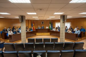 Sesión plenaria celebrada en Roquetas de Mar