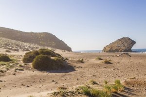 DIPUTACIÓN DE ALMERÍA - Archivo