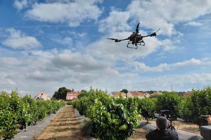 Drones para detectar plagas o hierbas para combatirlas, sensores para reducir riego y abono, IA, poda mecánica… el agro de precisión se luce en Paiporta