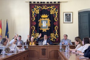 Imagen de una sesión plenaria en Níjar