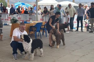 Exposición Nacional Canina celebrada en Alhama de Almería.