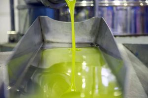 Según COAG, el sector tiene un problema generalizado de aumento de costes de producción debido sobre todo a las guerras de Ucrania y Oriente Medio