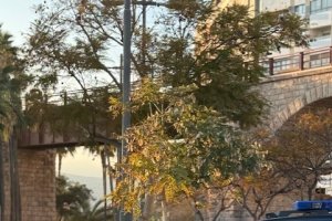 El detenido intentó huir a la carrera al conocer que iba a ser arrestado y causó lesiones a dos policías durante su reducción