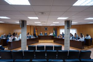Sesión plenaria en Roquetas de Mar.