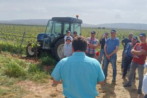 Curso presencial en Arnedo (La Rioja)