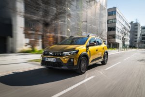 El Dacia Sandero y el SEAT Ibiza se disputan el liderazgo de ventas en el primer semestre.