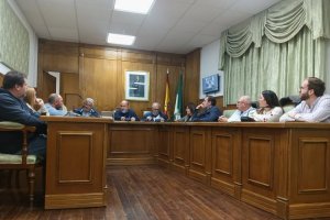 Pleno del Ayuntamiento de Dalías.