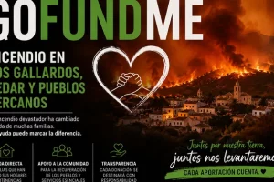 Cartel de la iniciativa para recaudar dinero en GoFundMe.