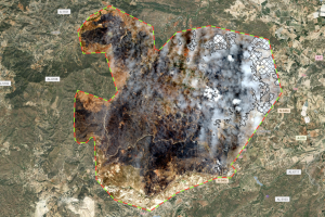 Área quemada en el incendio de los Gallardos
