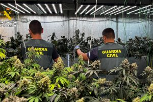 Agentes de la Guardia Civil, durante el operativo.