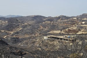 Imagen de terreno afectado tras el incendio en Los Gallardos