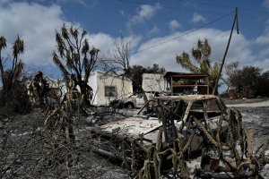 Tierras calcinadas por el incendio de Bédar.