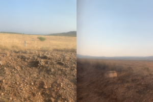 Las imágenes de los alrededores del lugar en el que se ha quedado el tren averiado.