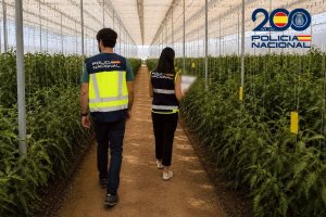 Investigación policial sobre el fraude en una sucesión de empresas agrícolas.