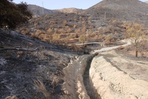 Imágenes de la zona de El Marchal en Lubrín afectada por el incendio.