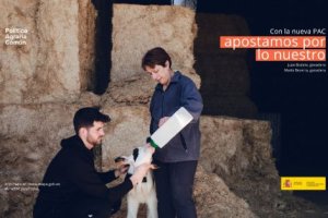 Las solicitudes comprenden una superficie declarada de 22 millones de hectáreas