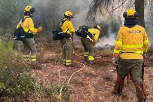 Imagen del INFOCA sofocando el conato de incendio provocado por una tormenta en María.
