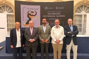 DIPUTACIÓN DE ALMERÍA