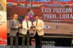 DIPUTACIÓN DE ALMERÍA
