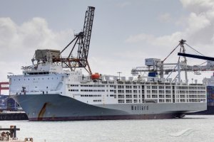 Imagen de archivo del S.ARAS, que ha atracado esta mañana en el Puerto de Almería cargado de vacas procedente de Brasil.