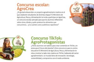 Concursos escolares.
