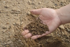 En Almería se beneficiarán 1.891 agricultores que recibirán un total de 2,36 millones de euros