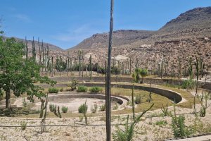 Vivero situado en el Camino del Campo, en Níjar.