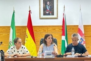 Imagen del pleno en el Ayuntamiento de Benahadux.