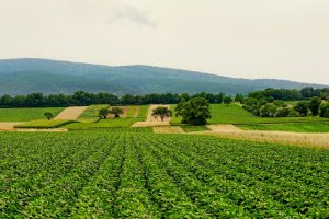 Para ASAJA Almería, esta actuación no debe limitarse al interior de las explotaciones, sino que requiere también prestar atención al entorno agrícola