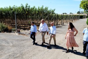 DIPUTACIÓN DE ALMERÍA