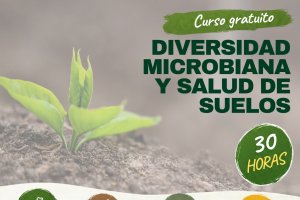 Curso gratuito sobre diversidad microbiana y salud de suelos.