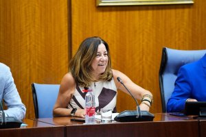 JOAQUIN CORCHERO / PARLAMENTO DE ANDALUCIA