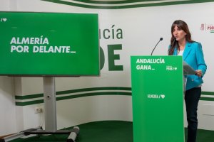 La diputada en el Congreso por el PSOE de Almería, Inés Plaza