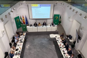 Reunión de Direcciones Generales de Protección Civil en Sevilla.