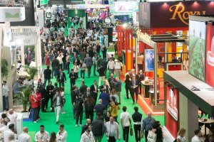 IFEMA MADRID