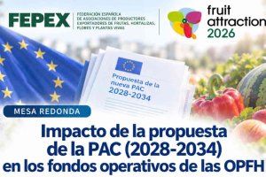 Análisis de la propuesta de la Comisión Europea para la PAC 2028-2034 y de sus implicaciones para las organizaciones de productores, los programas operativos y la financiación de las OPFH de frutas y hortalizas