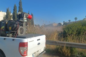 Trabajos contra los mosquitos en el municipio de Vera.
