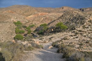 Sendero del entorno de la Muralla de Jayran.
