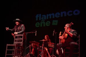 Almería será sede en noviembre de la XI Muestra de Flamenco para Programadores Internacionales de la Fundación SGAE