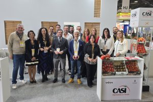 DIPUTACIÓN DE ALMERÍA