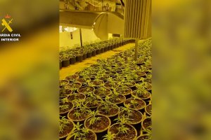 Imagen de la plantación intervenida por la Guardia Civil en Huércal de Almería.