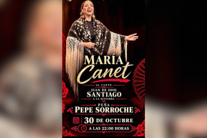 Cartel del evento.