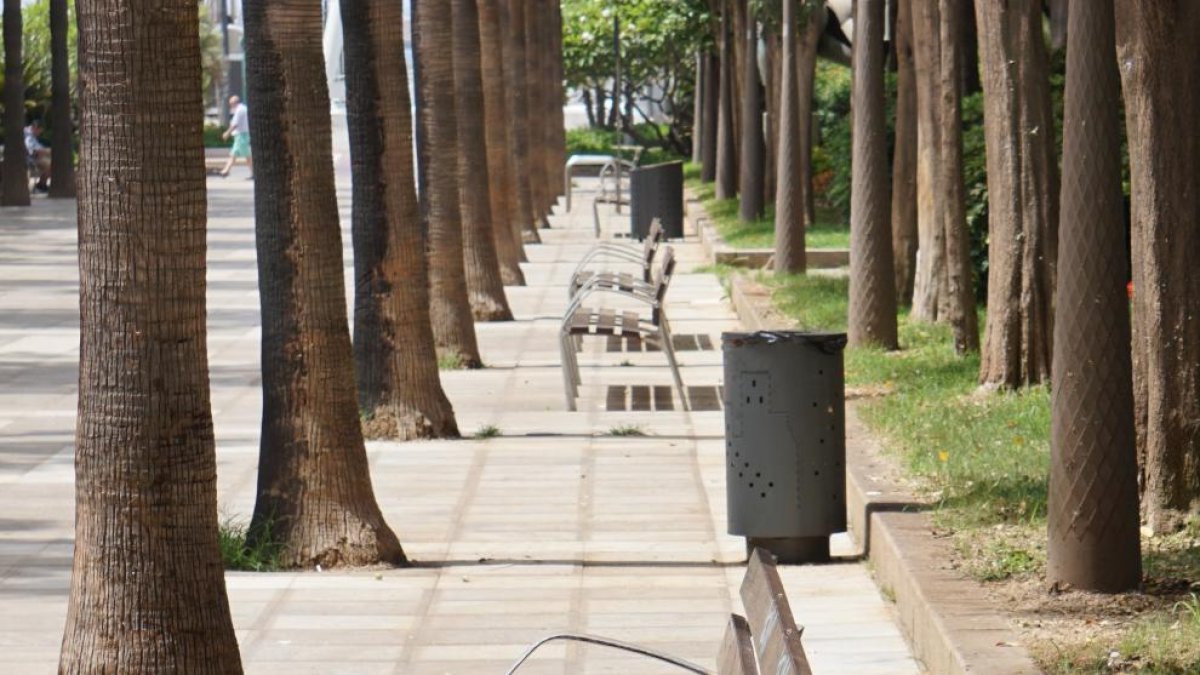 Bancos de la Rambla al sol totalmente vacíos