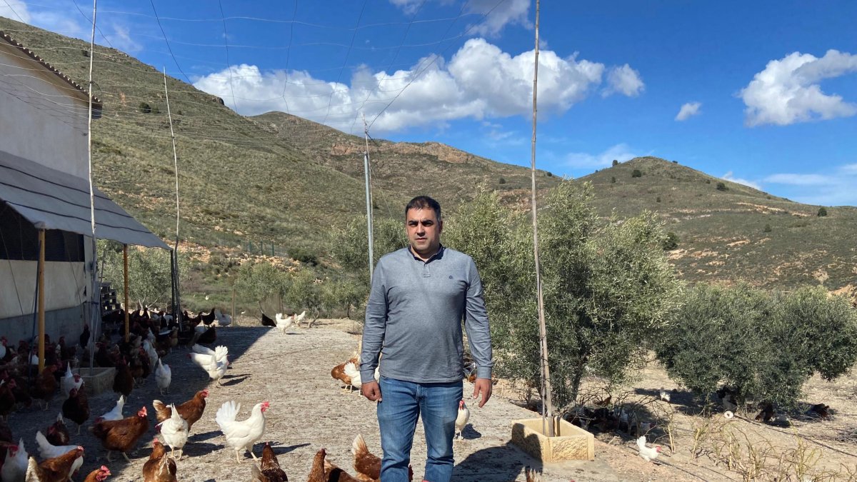 Víctor Compán, propietario de Productos Víctor Compán, rodeado de sus gallinas.