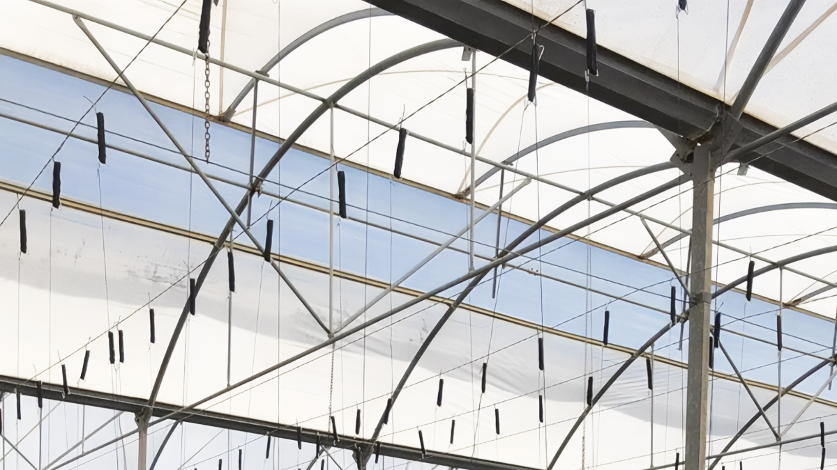 Politiv Europa patrocina el Simposio Internacional GreenSys 2025, referente mundial en agricultura protegida y sostenible