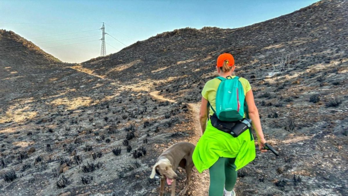 Sendero entre los barrancos del Pollo y del Cura en Huércal de Almería.