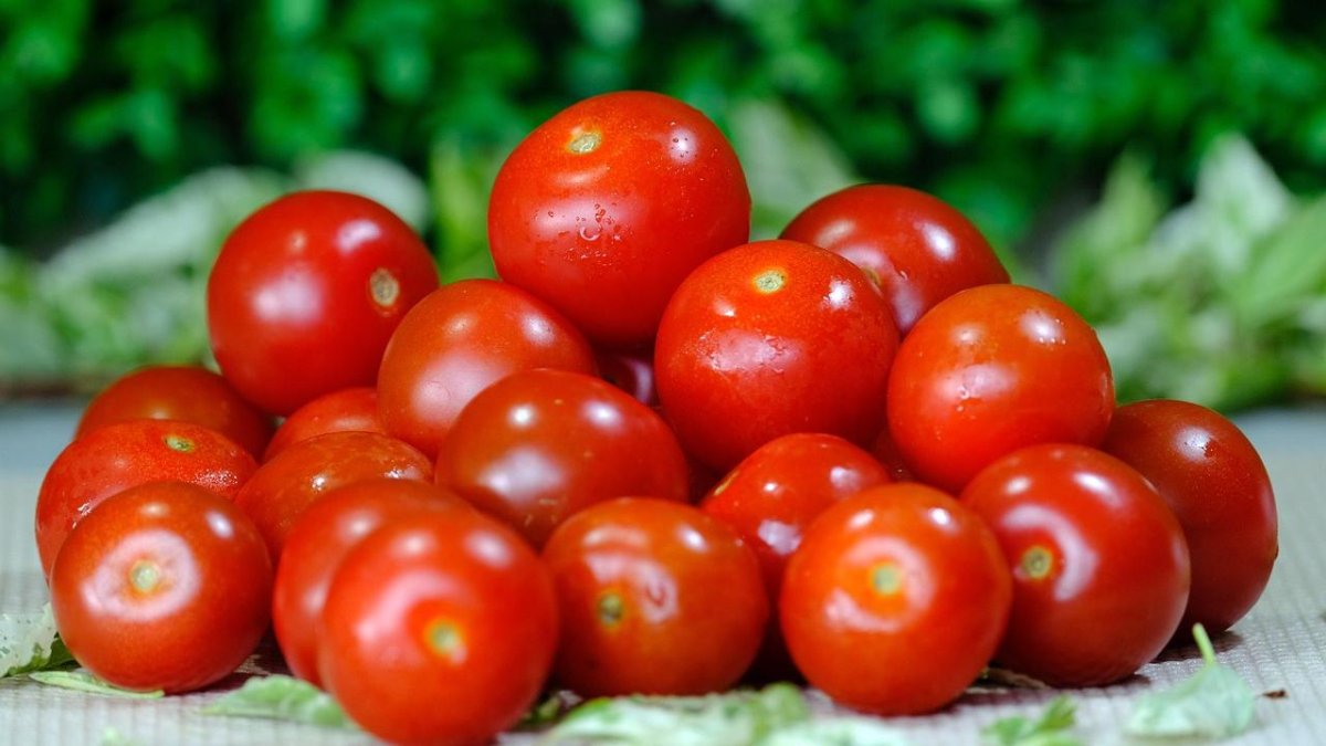 La comercialización de tomate en toneladas cae un 4%.