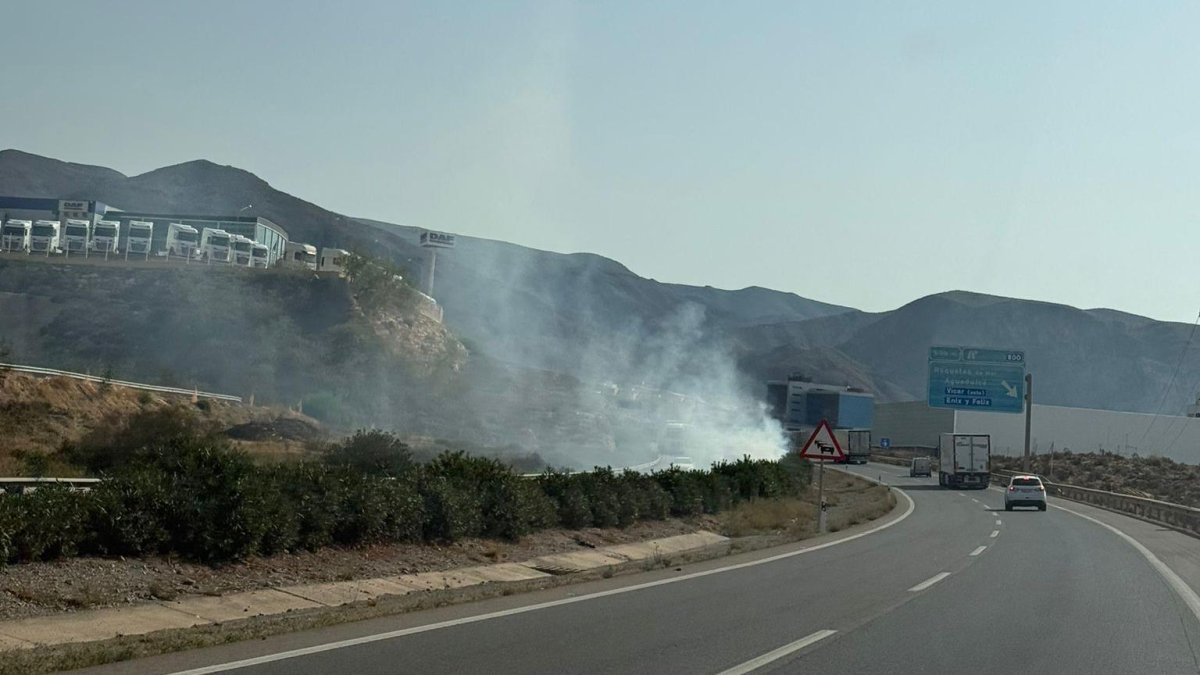 La columna de humo provocada por el incendio en la mediana de la A-7